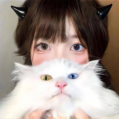 猪太狼的夏天